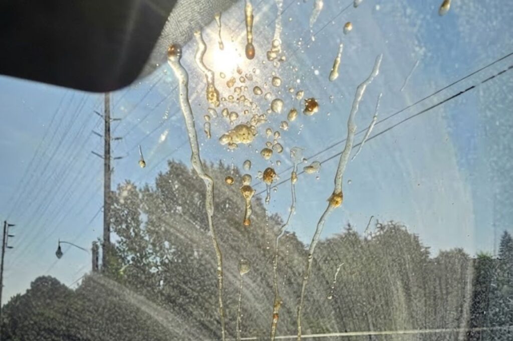 Dirty car windshiled with marks and tree sap drippings